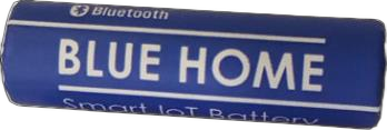 BlueHome Battery front